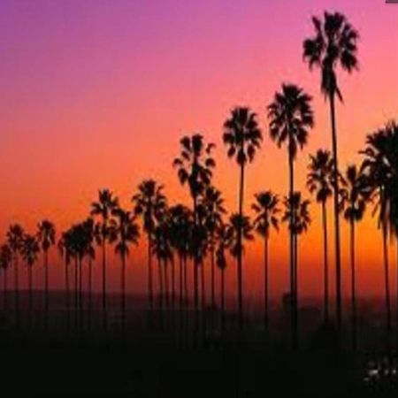 Venice Beach Apartments Monthly Rents Λος Άντζελες Εξωτερικό φωτογραφία
